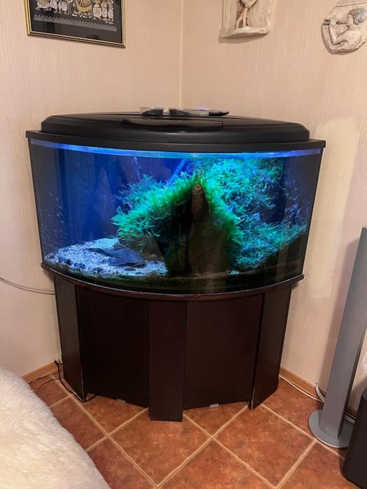 Akwarium panoramiczne 300 l