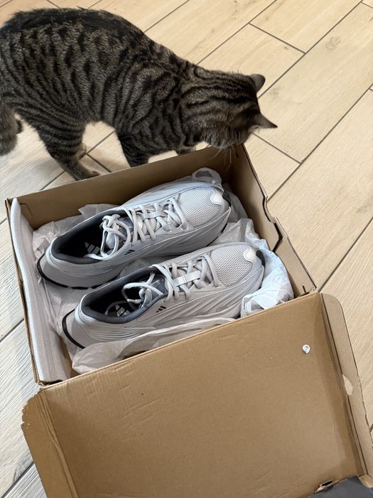 Кросівки ADIDAS XLG mtw