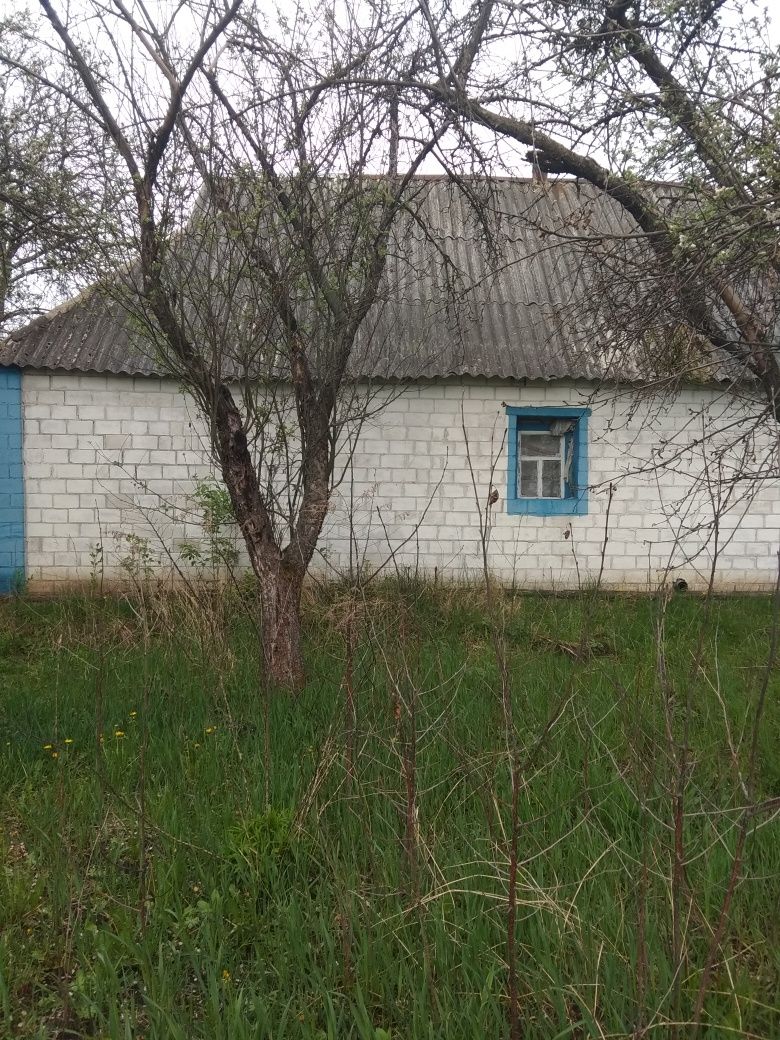 Продажа земли, Киевская область