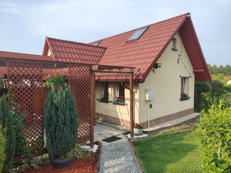 Domek całoroczny woda ogrzewanie centralne do wynajęcia ROD