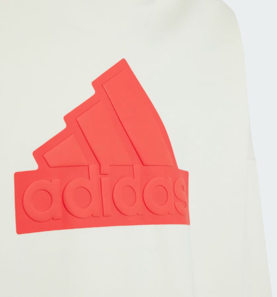 Худi Adidas Future Icon, Adidas ZNE, Puma, Nike