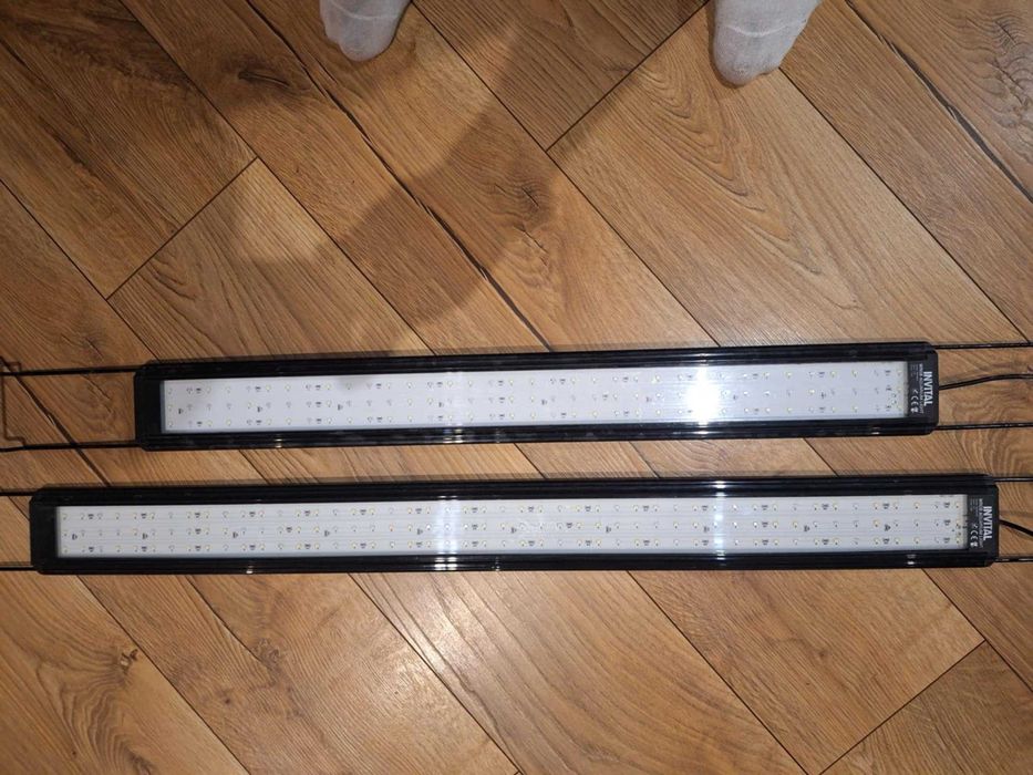 Oświetlenie akwarium, lampy do akwarium