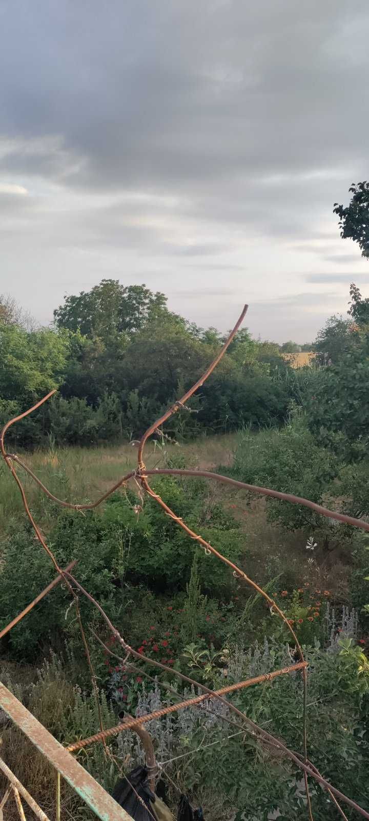 Продажа жилой дачи.