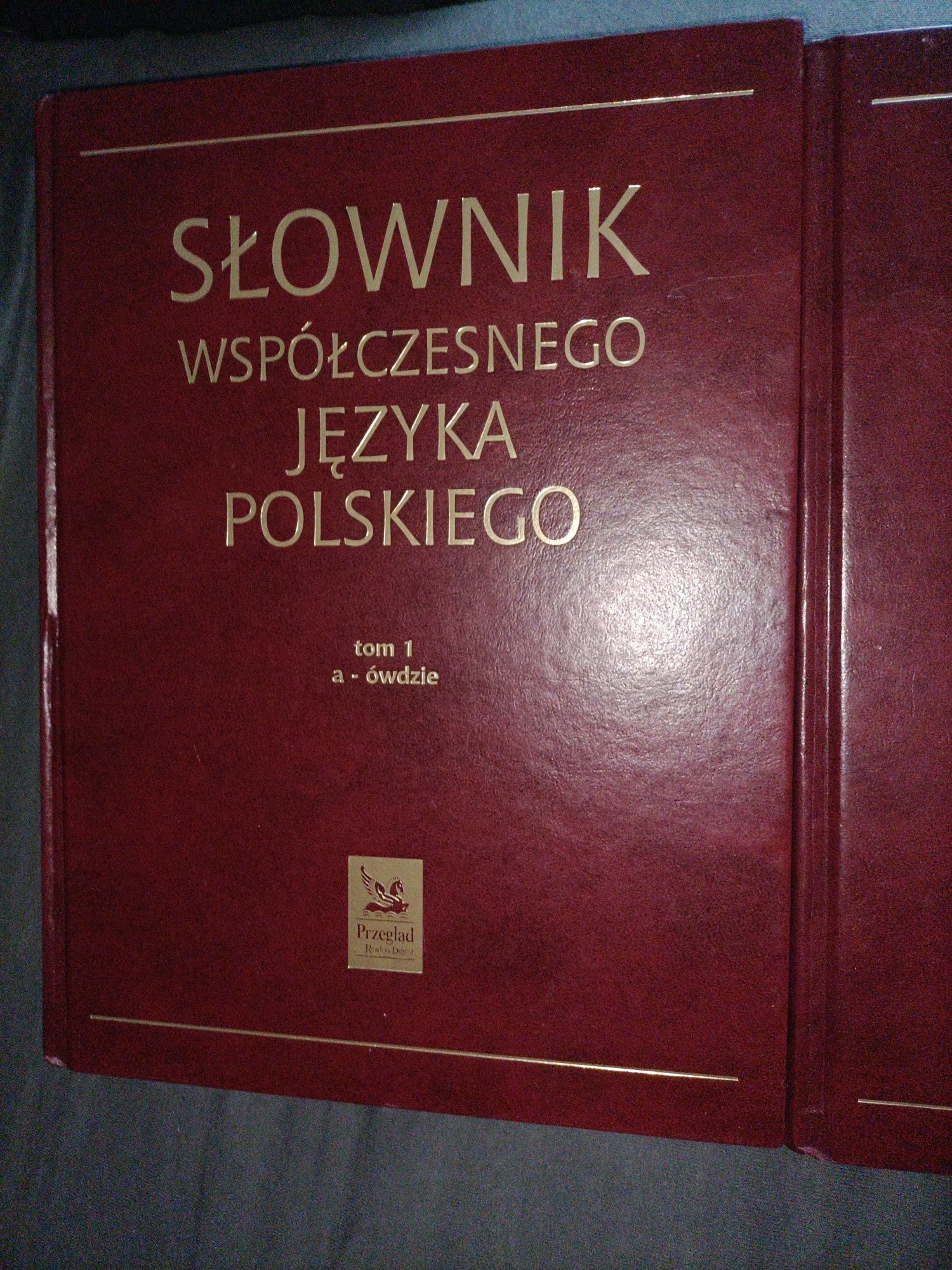Współczesny słownik języka polskiego