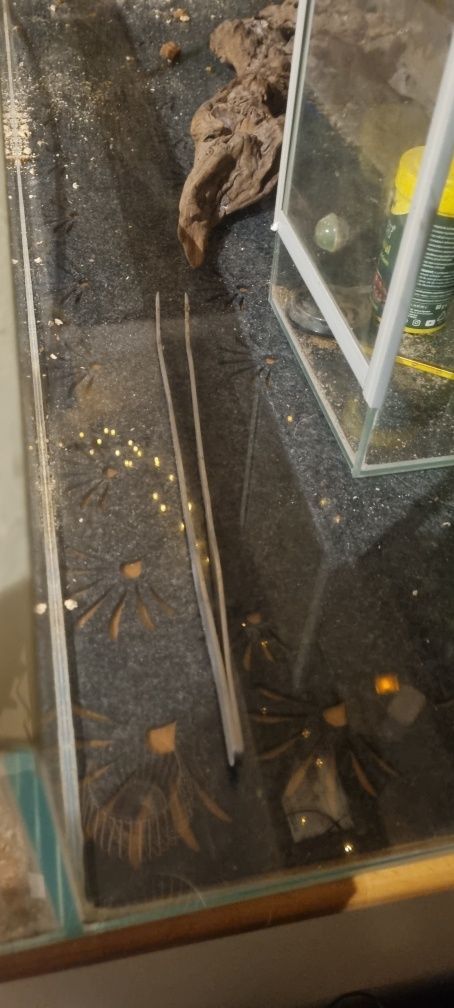 Terrarium 100x40 wys 50 + wyposażenie
