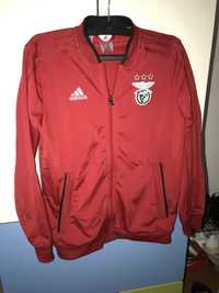 Casaco adidas Benfica