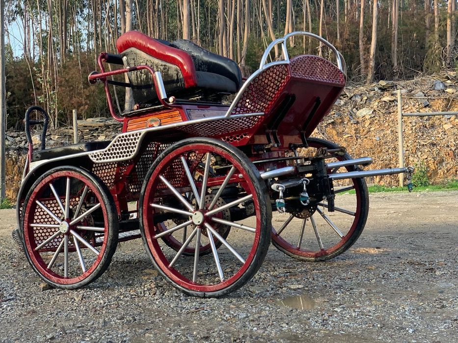 Charrete/ Maratona Competição