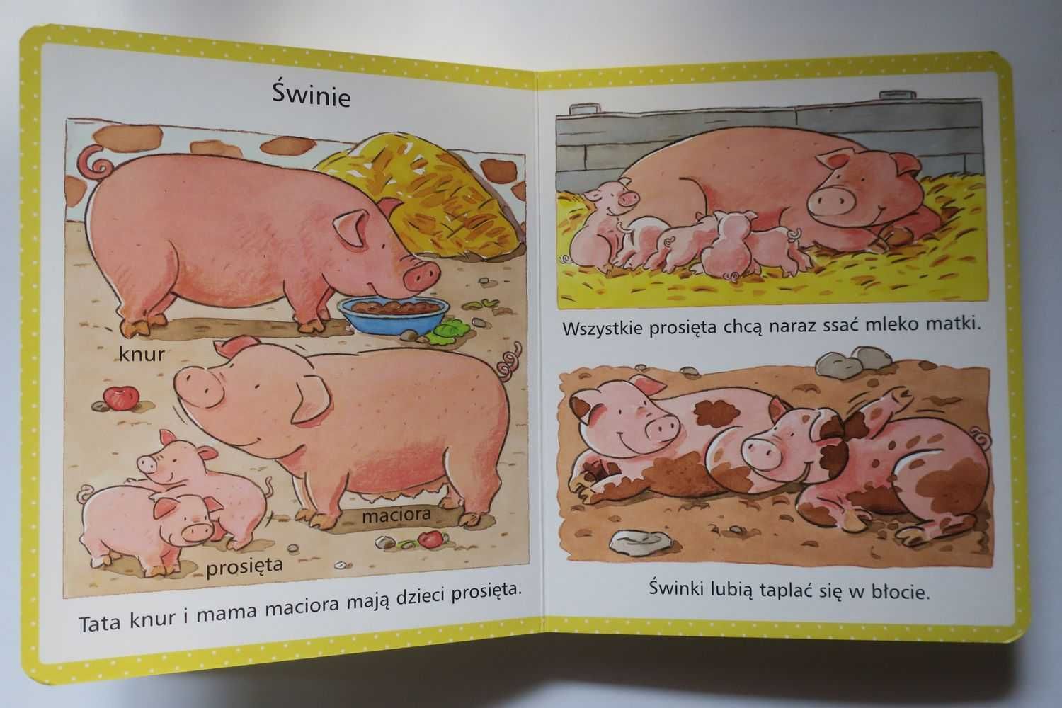 Obrazki dla maluchów Wieś E. Beaumont