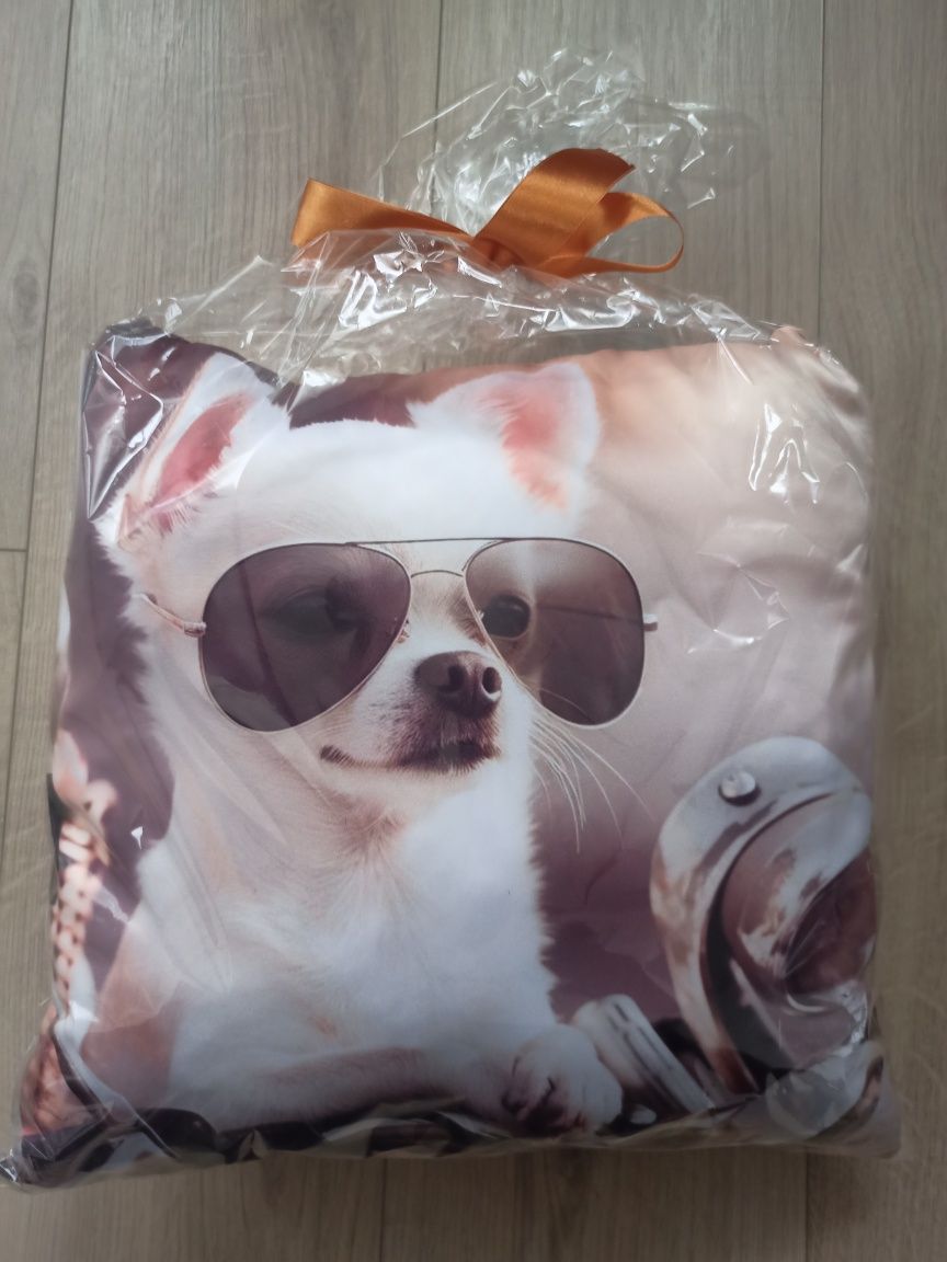 Poduszki jaśki 2 sztuki chihuahua