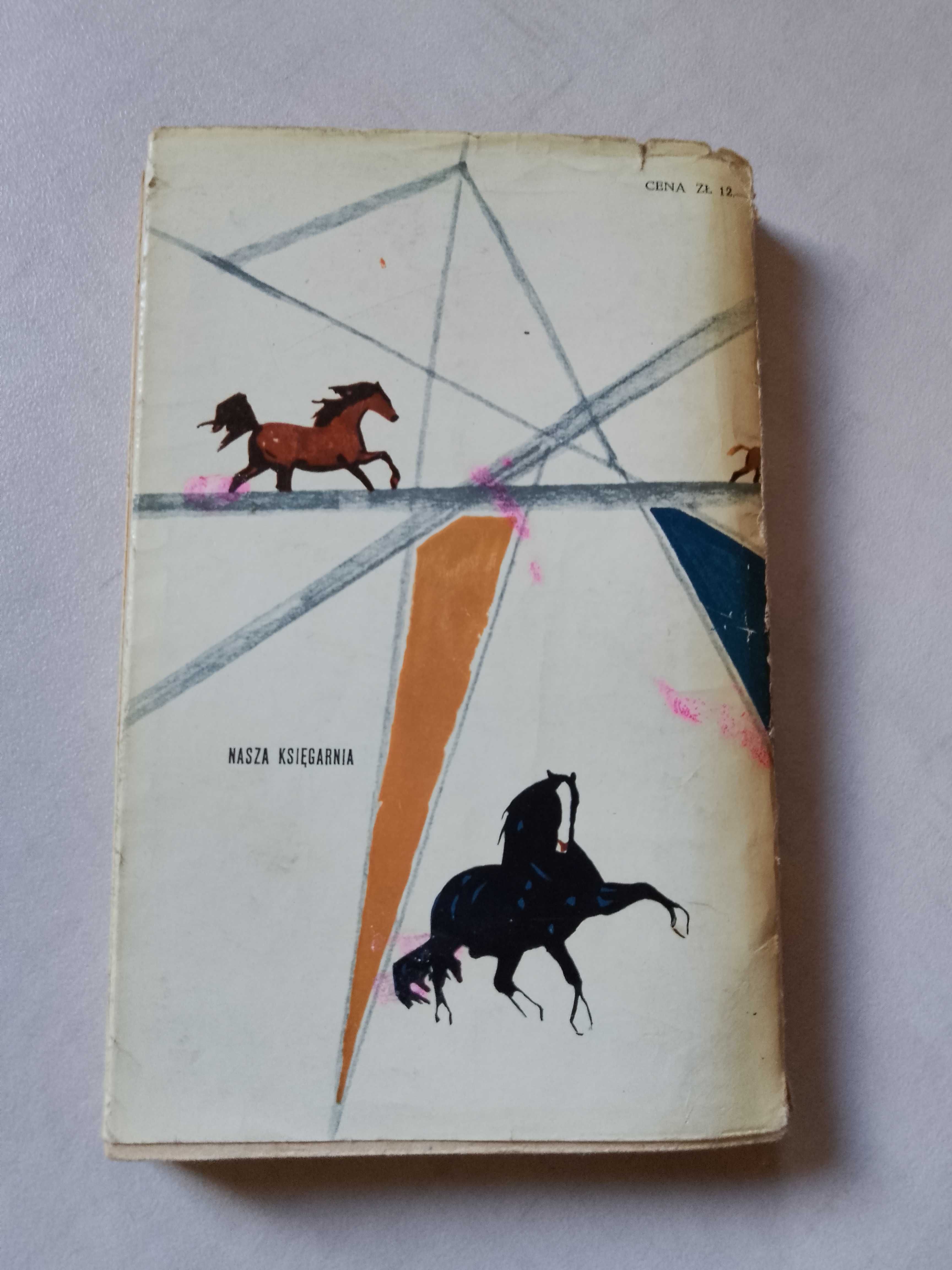 Mary Elwyn Patchett "Brumby" 1965