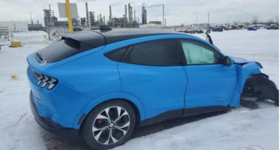 Двері Ford Mustang Mach-e запчастини розбор мустанг мач е шрот