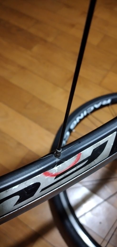 Rodas fulcrum comp