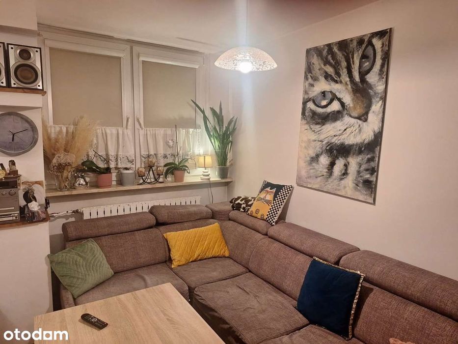 Słoneczne mieszkanie na parterze