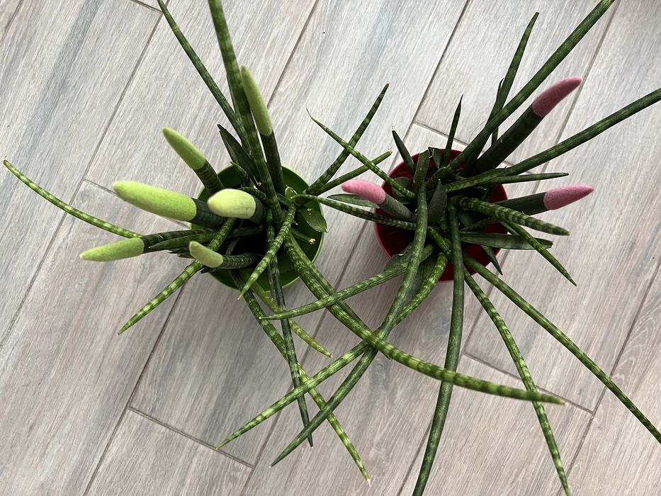 Квартири подобово центр