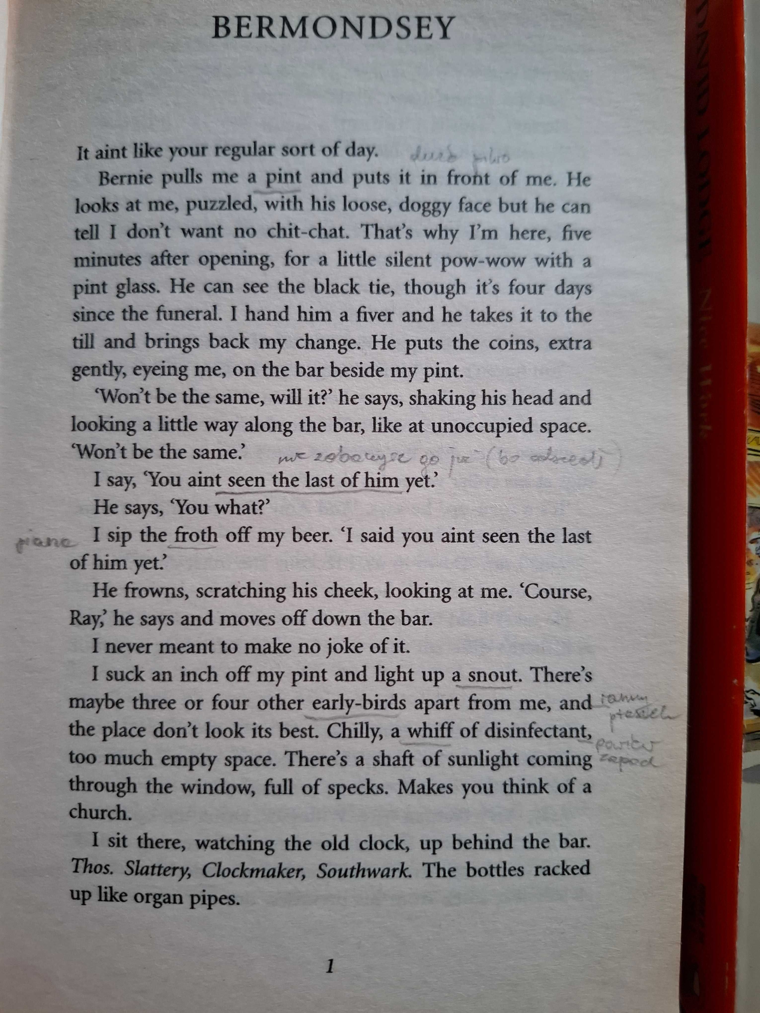 books in english - 2 książki po angielsku - David Lodge/Graham Swift