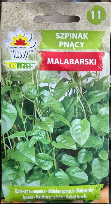 Szpinak Malabarski pnący nasiona
