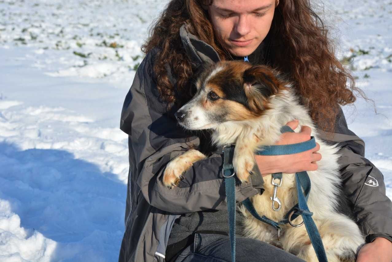 Jaśmin - spokojny, starszy piesek bardzo potrzebuje domu!