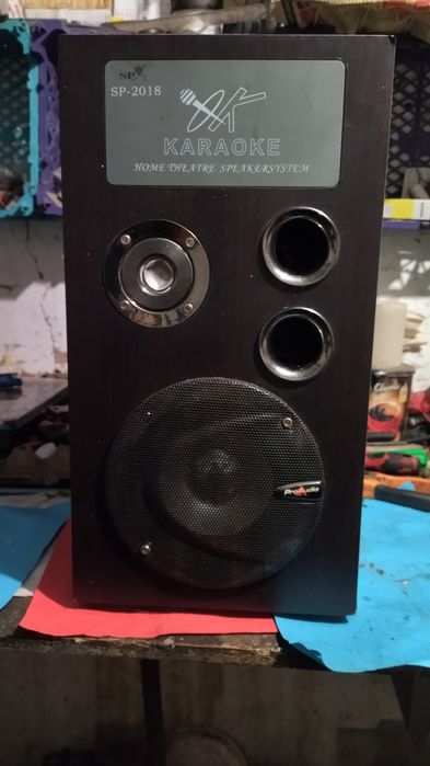 Пасивна колонка  CODEGEN 2018 караоке бу.