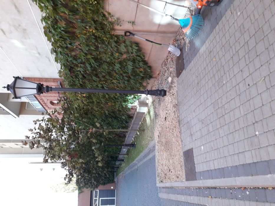 Drewno drzewo kominkowe opałowe Pabianice Konstantynów Ksawerów Aleksa