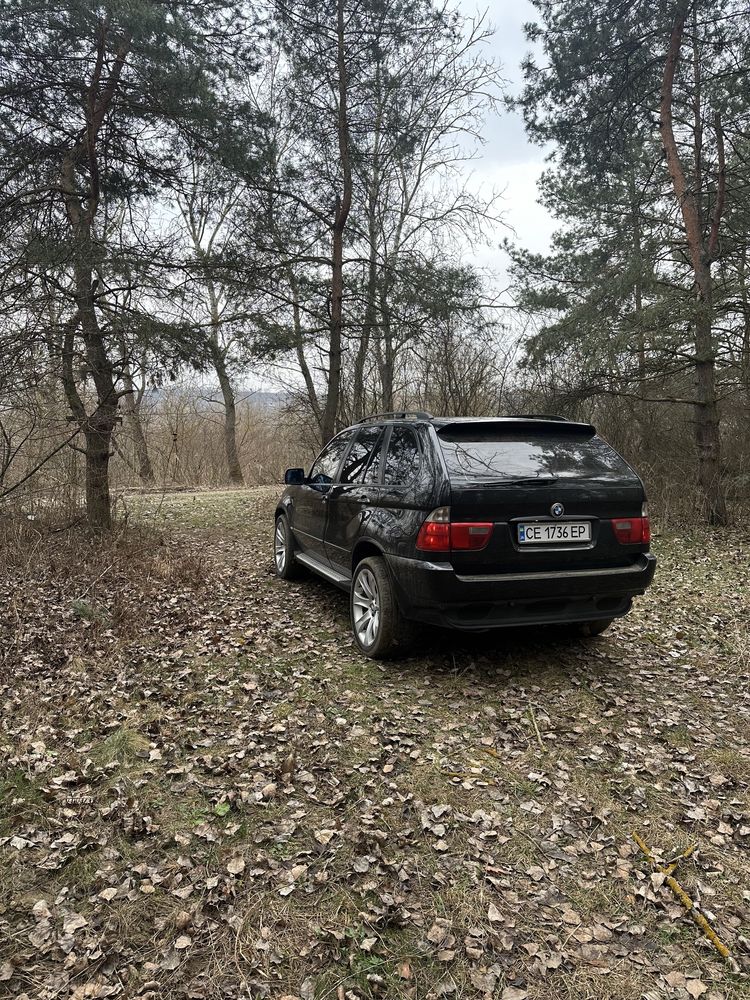 BMW X5 E53 3.0D black