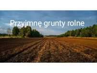 Wydzierżawię grunty rolne