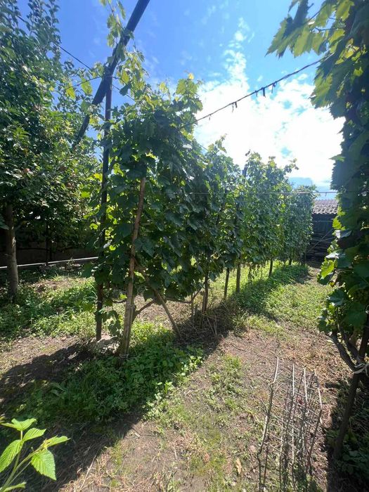 Продаж будинку в мальовничому місці м. Заліщики