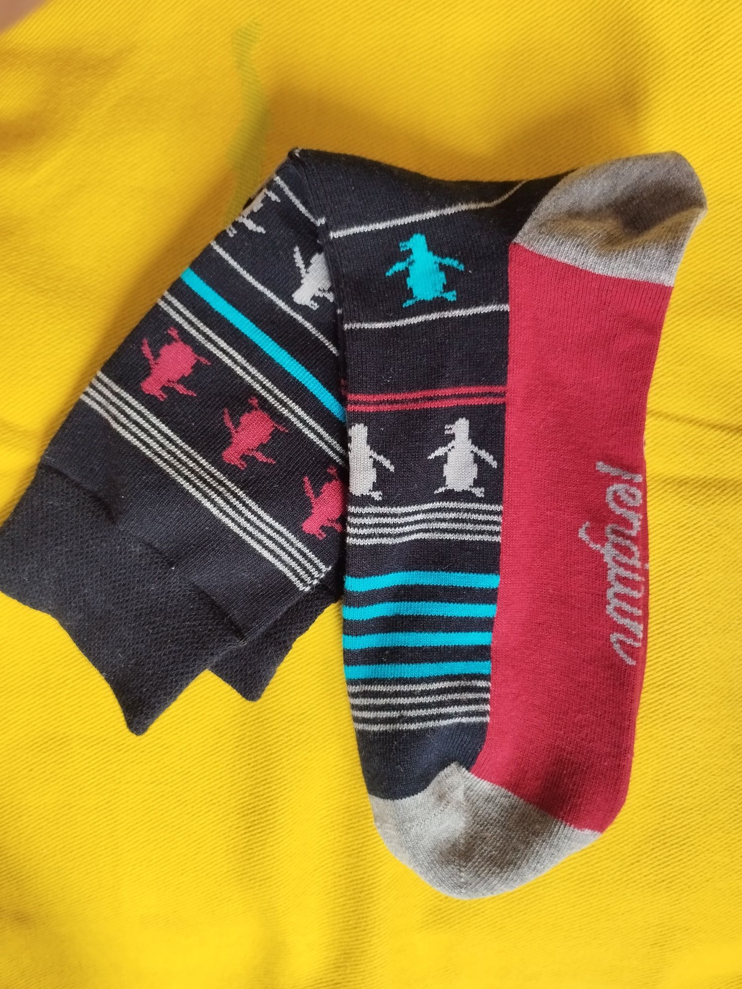 Шкарпетки носки Penguin 42-44
