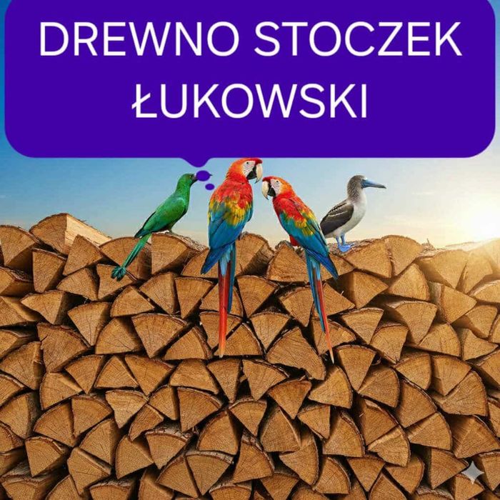 Drewno kominkowe Radzyń Podlaski dąb