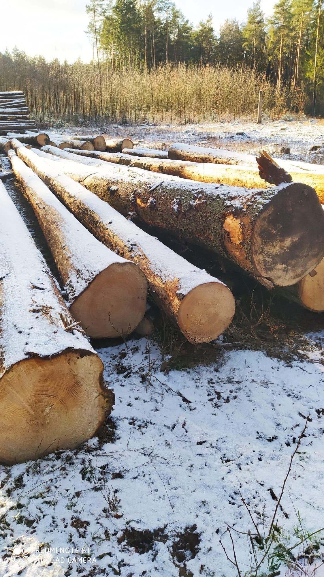 Sprzedam 22m3 drewna tartaczka świerk długość ponad 14m cena 650 zł m3