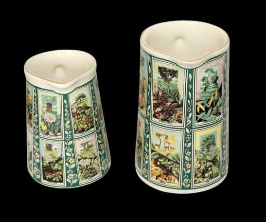 Porcelana angielska Ringtons rzadkość porcelanowe dzbanki botanica