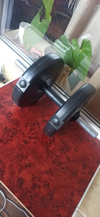 Гантель наборная 10кг