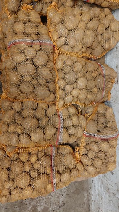 Ziemniaki żółte Vineta (wineta)