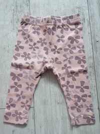 Spodenki/legginsy Coccodrillo 68