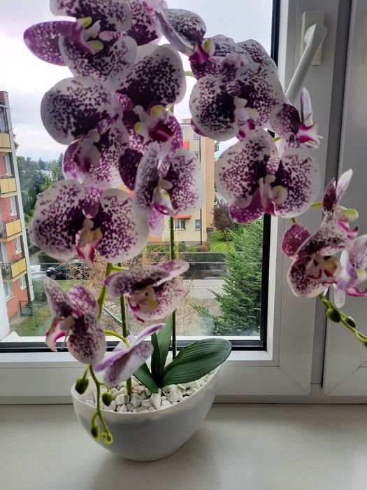 Storczyk sztuczny silikonowy jak żywy