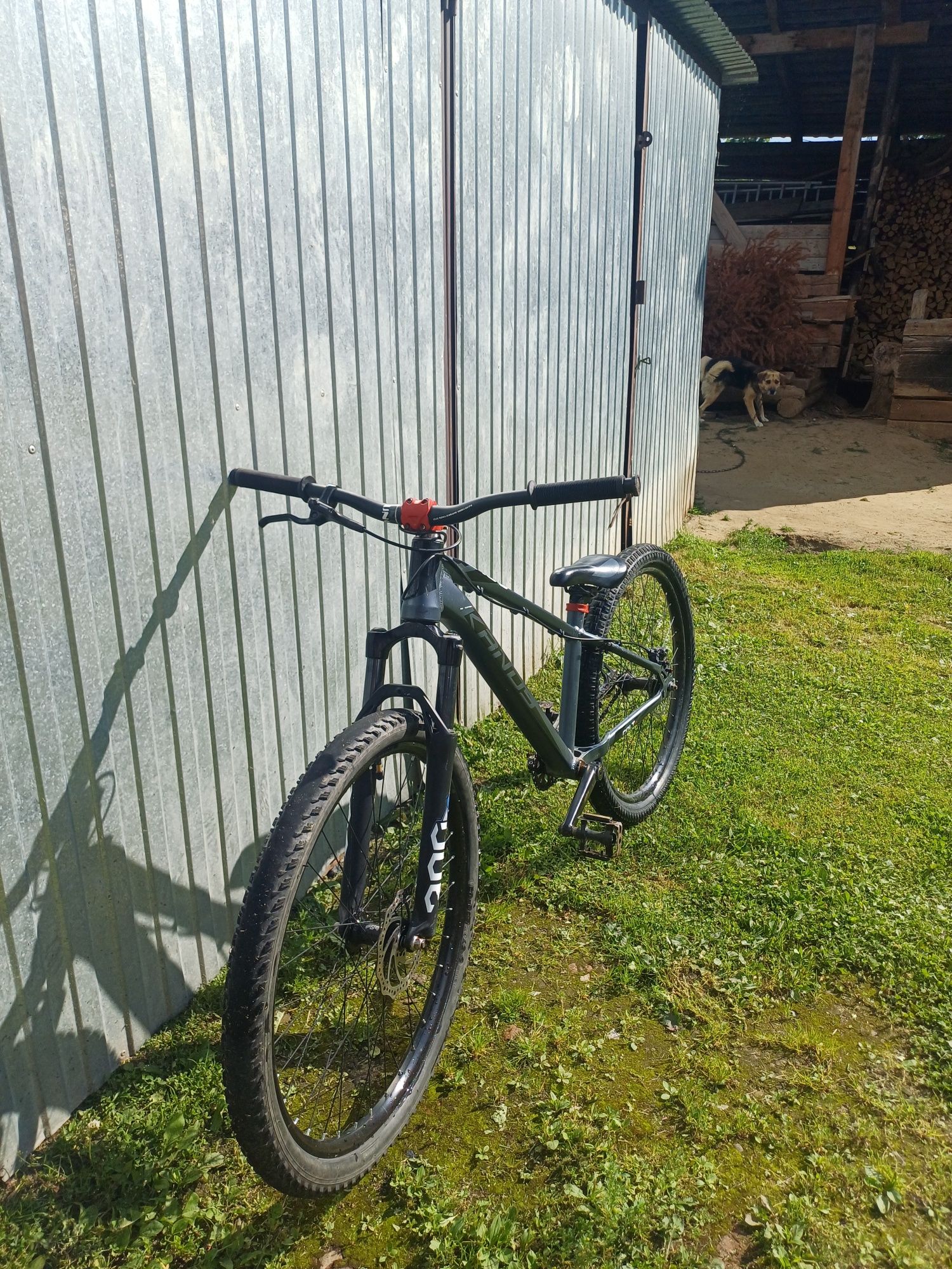 Rower dirt kands colt 26