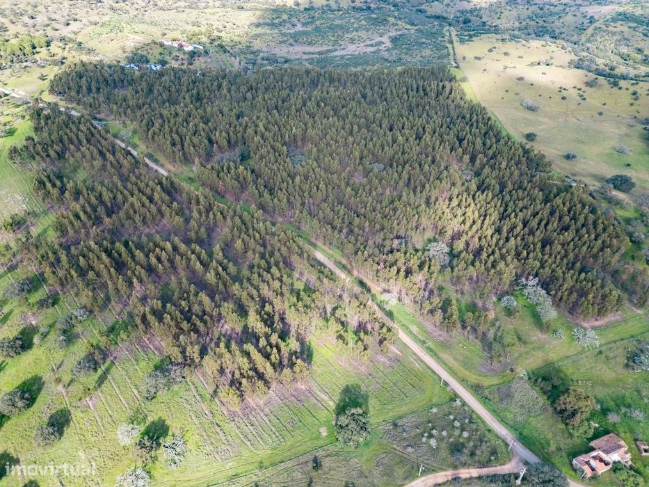 Terreno Rústico 16.0 ha, Azinheira dos Barros, Grandola