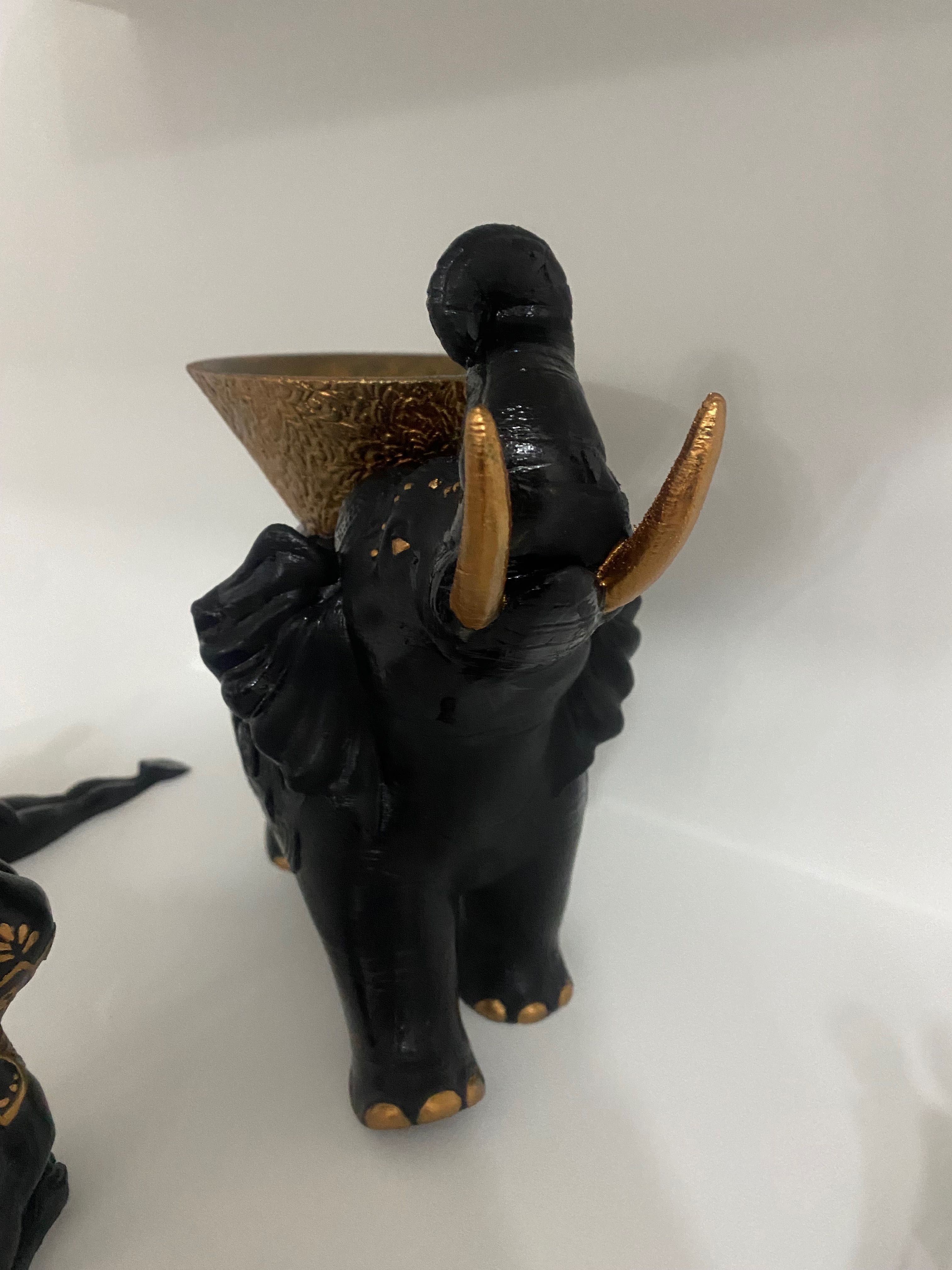 Conjunto decoração novo