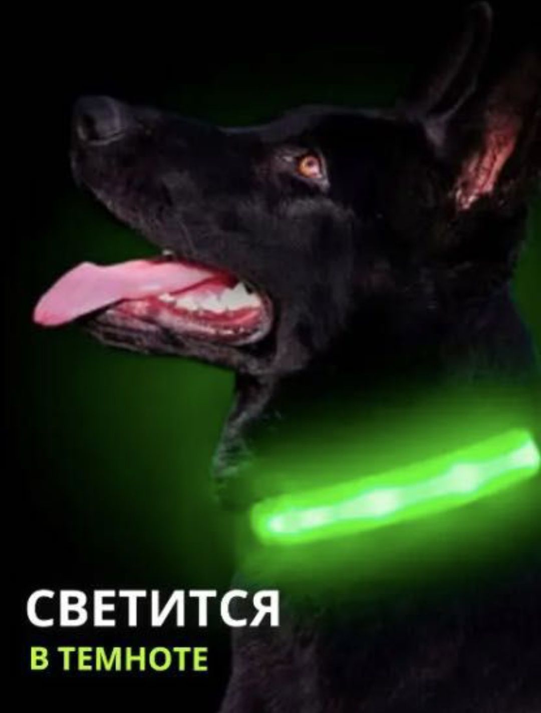 Светящийся ошейник, LED, размер то XL