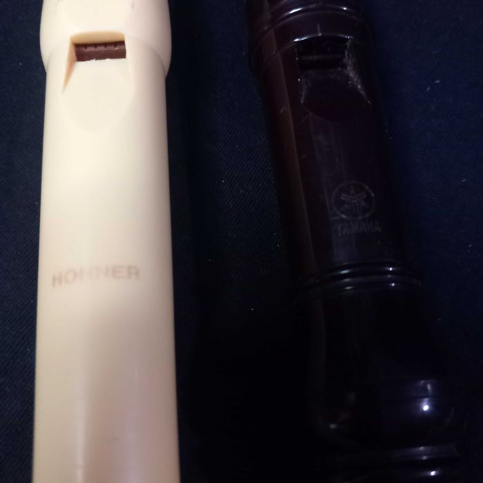 Instrumento de sopro flautas