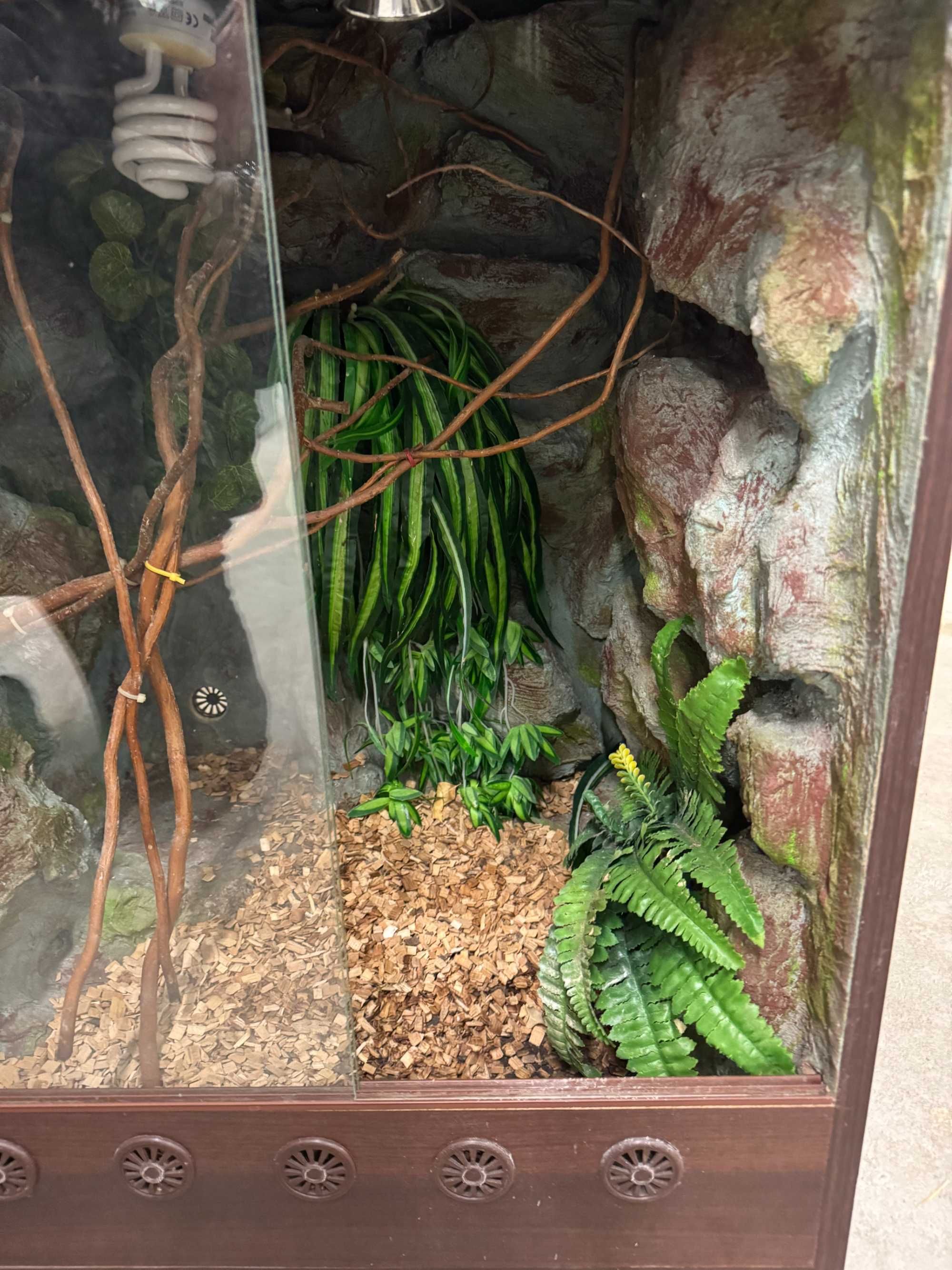 Terrarium dla kameleona