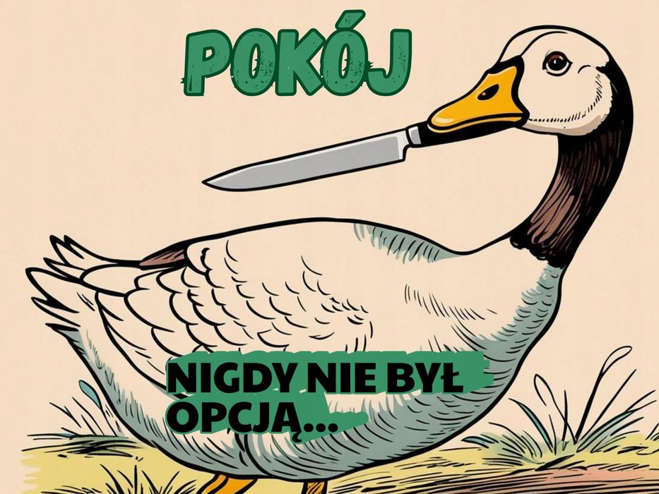 Plakat metalowy zabawna kaczka Pokój - Nigdy nie był opcją..