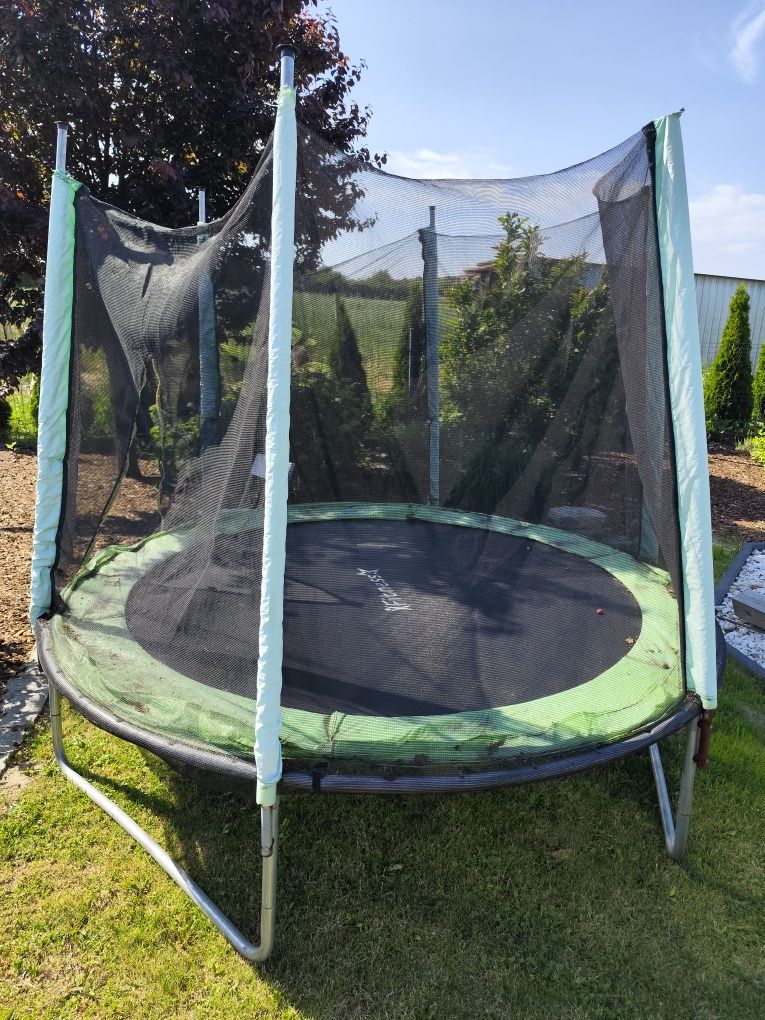 Trampolina 250 cm