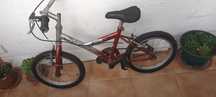 Bicicleta criança Skirrel- Bom preço