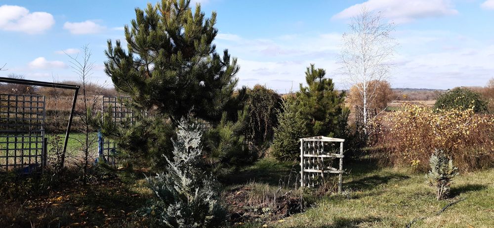 продаєм будинок із жилою літнєю кухнею