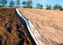 Geowłóknina rolki, niemiecka, najmocniejsza, 1-6m szer dostawa 24h FV