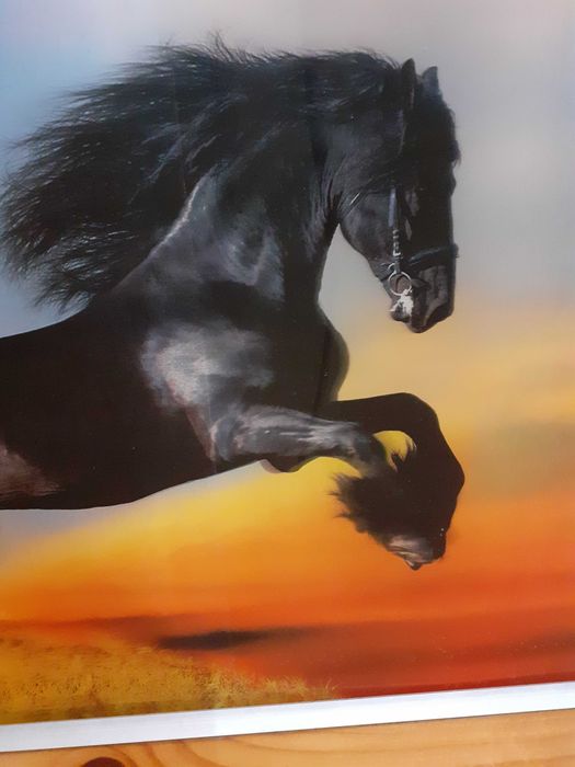 Obraz obrazek plakat 3D koń trójwymiarowy 38 / 58