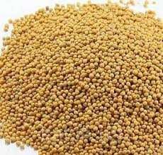 Семена Горчицы.Насіння Гірчиці,Тимофіївки