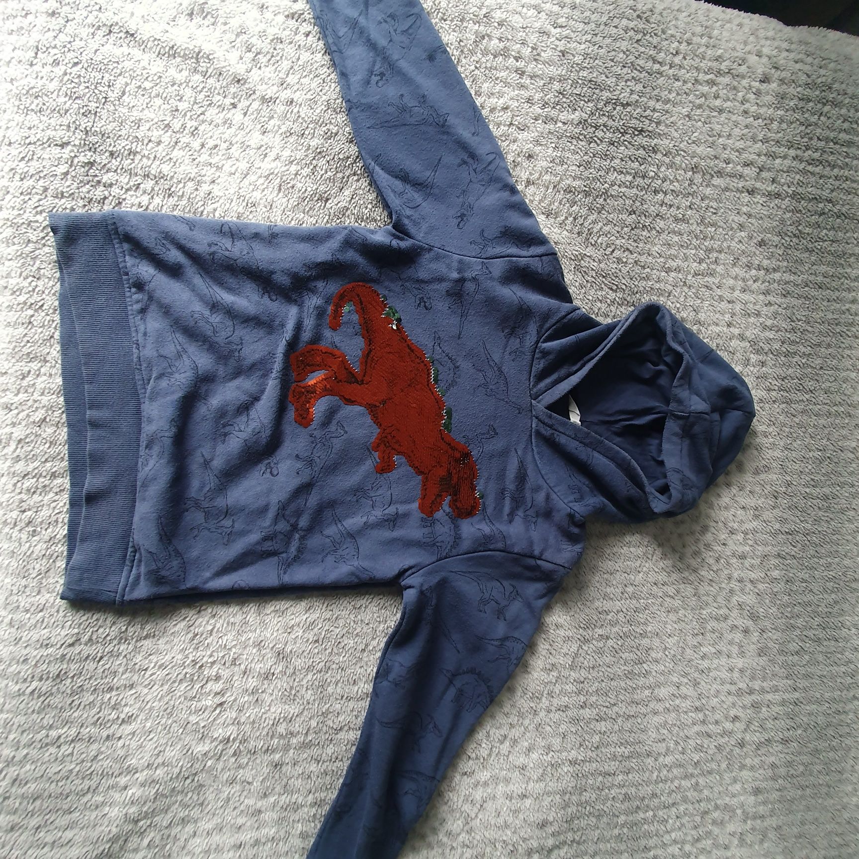 Bluza z dinozaurem H&M