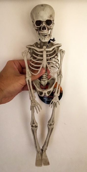 Esqueleto Halloween