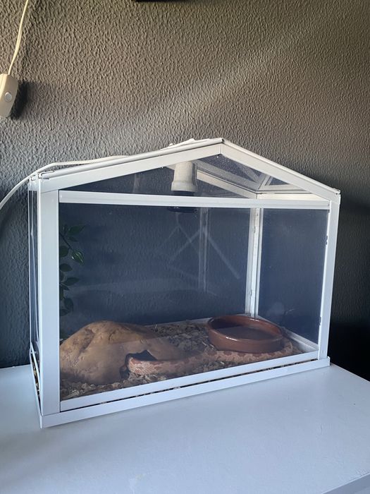 Terrario para reptis